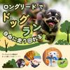Long Leash 20m for Dogs and Training Ideal for Pet Outdoor Dog and Recall Training [KOREWA] Cats, Leash, Walks, Use, Parks, (Red)