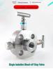 Flanged Globe Two-Valve Manifold for Natural Gas Pipeline Isolation and Venting