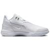Nike Zoom LeBron NXXT Gen AMPD Białe Metaliczne Srebrne Unisex Trampki Jasnoszary Dymny FJ1566-102