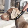 New Dog Collar Ultra-fiber Explosion-proof Close-up Control Pet Neck Ring Ultra-light Breathable Dog Collar