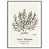 Henri Matisse Poster Art Poster Shrub Drawing A2 SQIP Line Art Line Drawing Monochrome Black and White Painting Picture Nordic Stylish Interior 013