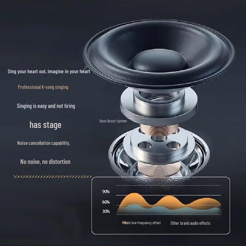 Beide Portable High-Power Bluetooth Karaoke Speaker CN Plug (adapter Included)