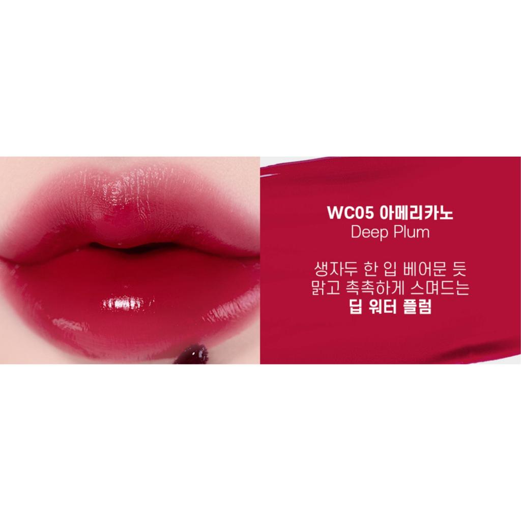 MOOLDA Tatoo Fixing Lip Water Tint 3g