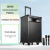 Edifier PW312 12-inch Portable Outdoor Stage Speaker CN Plug (adapter Included)