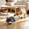 Cute Electric Simulation Cat Toy Wear-resistant Funny Cat Teasing Toys Bite Resistant Electric Cat Toy Consume Extra Energy
