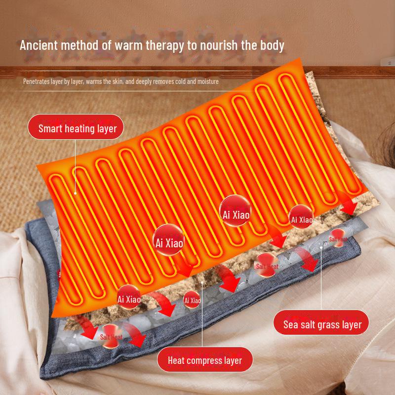 Electric Heating Moxibustion Salt Bag for Whole Body Therapy: Wormwood and Sea Salt Hot Compress for Shoulder, Neck, and Waist Relief.