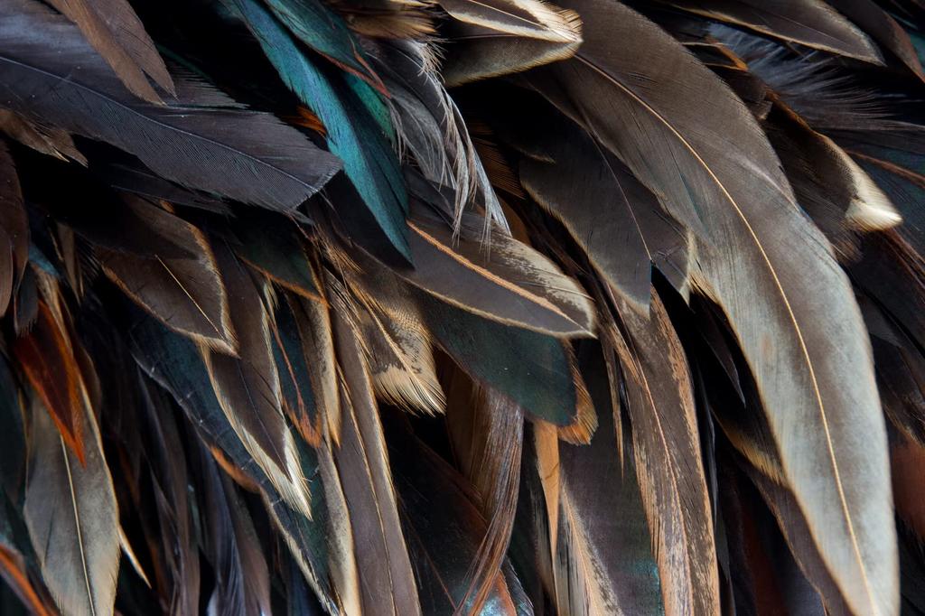 ESCI [Made in Japan] Made in Japan; Made with the finest hand-made hair! Made