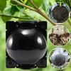 Garden Plant Rooting Device Air Layering Propagation Ball Reusable Root Growing Box with Secure Lock Clear Plant Grafting Ball