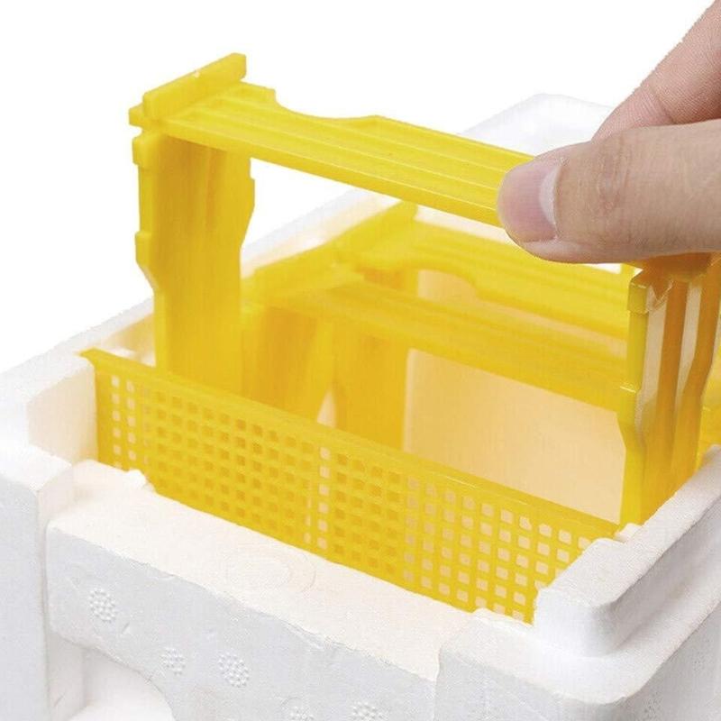 Foam Hive Bees Mating Box Beekeeping Tool Sturdy Accessories Professional Practical Foam Bees Breeding Box Development