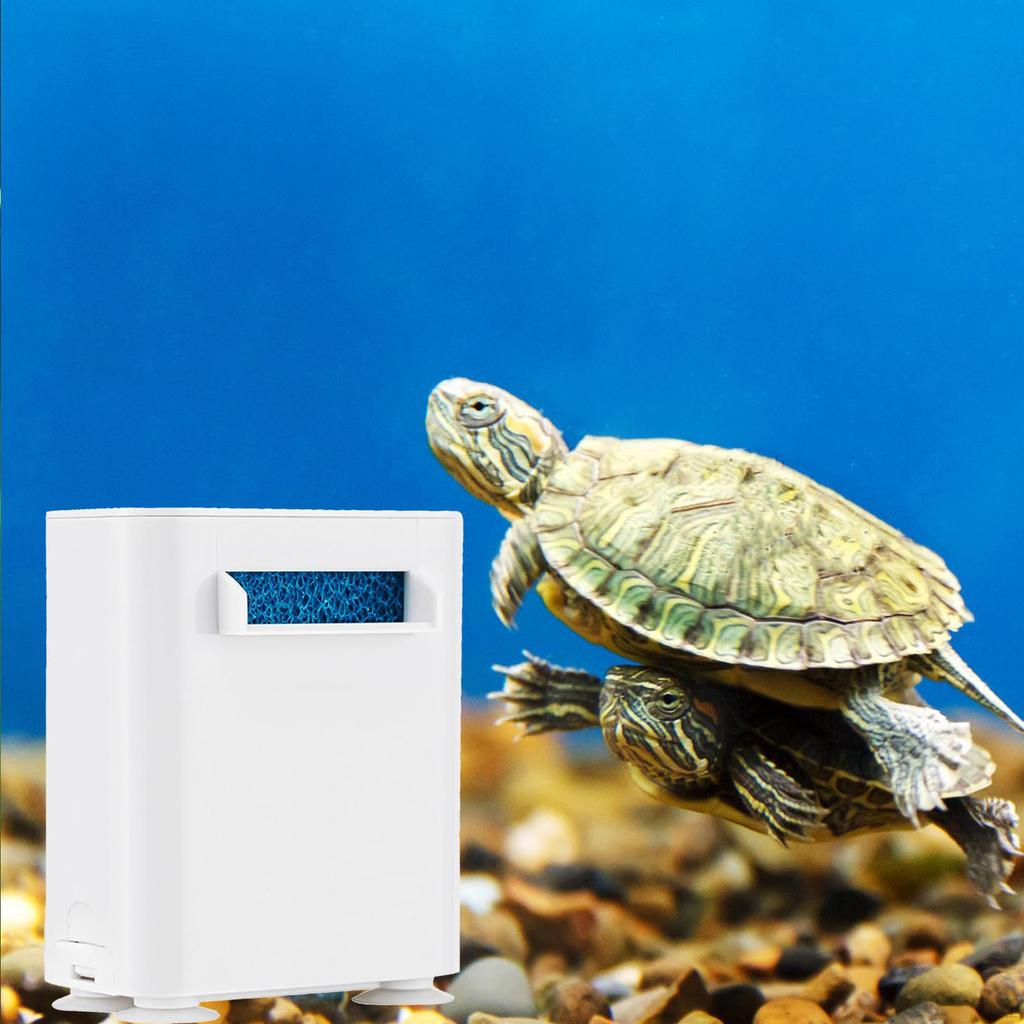 Advanced Aquarium Water Filtration System for Reptile Tanks