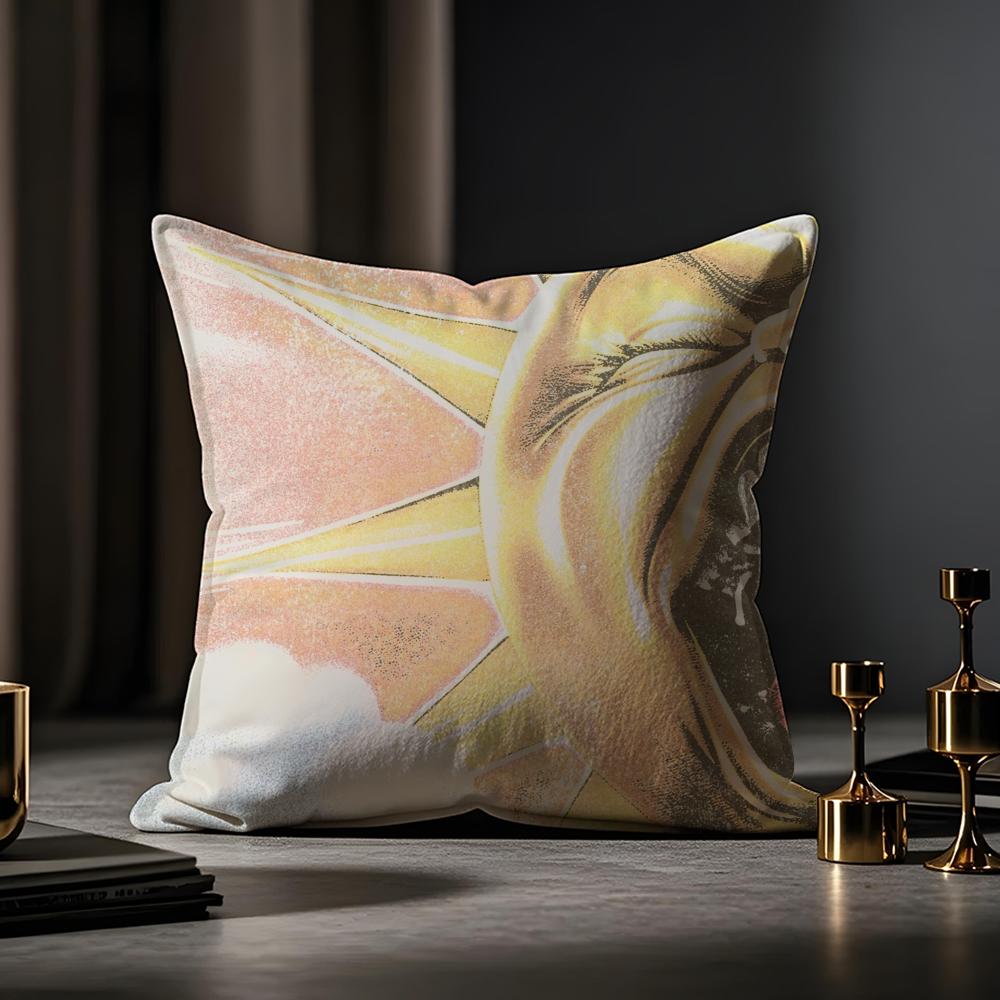 

Abstract Sun Cushion Cover Anti-dustmite Pillowcase Invisible Zipper Silky Short Plush Sofa Cushion Cover 30X30cm