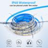 IP68 Waterproof LED Strip Lights 24V 2835 120Leds/m Warm Natural White Red Green Blue Flexible Lus Led Tape Underwater Decor