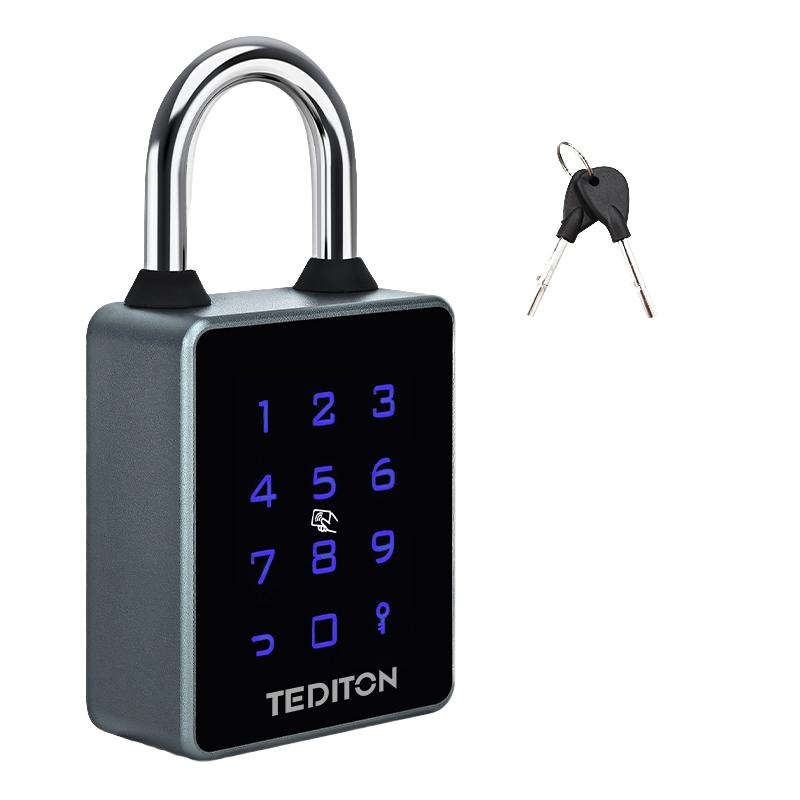 IP65 Waterproof Stainless Steel Keyless Remote Control Smart Padlock with TTlock/Tuya App Password Card Fingerprint Reader (Green,App) зелёный