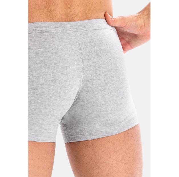 Боксеры Teyli Levi