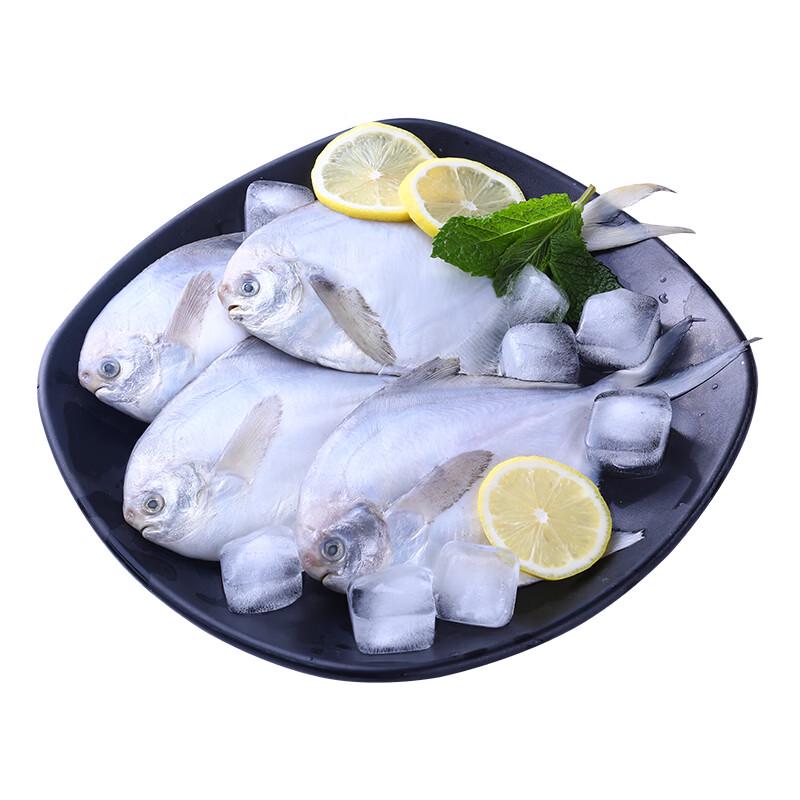 Pompano Argentato del Mar Cinese Orientale Fresco Surgelato