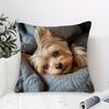 1. Housse de coussin imprimée 2D simple face Yorkshire Terrier - Décoration intérieure confortable