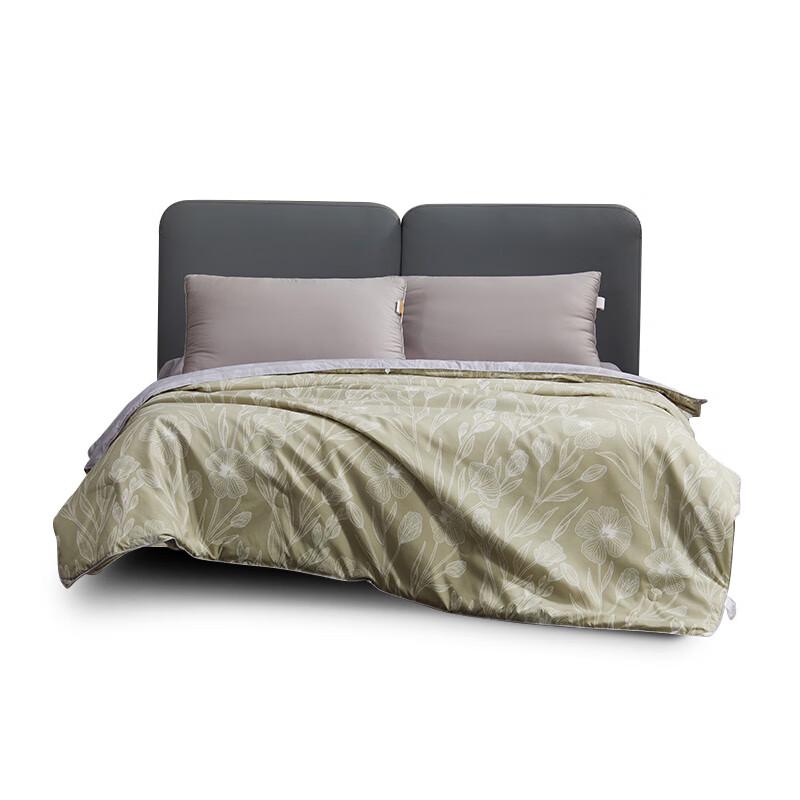 

Mercury Home Textiles DH ZHEN CUI ZHI XUAN Tussah Silk Quilt