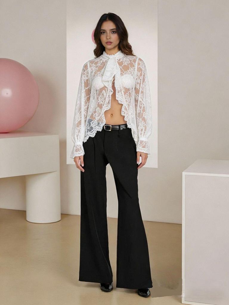 Top Elegante Euro-Americano a Maniche Lunghe in Pizzo Trasparente di Inizio Primavera