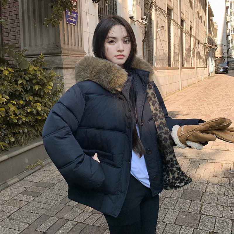 2025 winter new Korean version down cotton-padded clothes women's loose cotton-padded clothes casual short large fur collar thickened cotton-padded