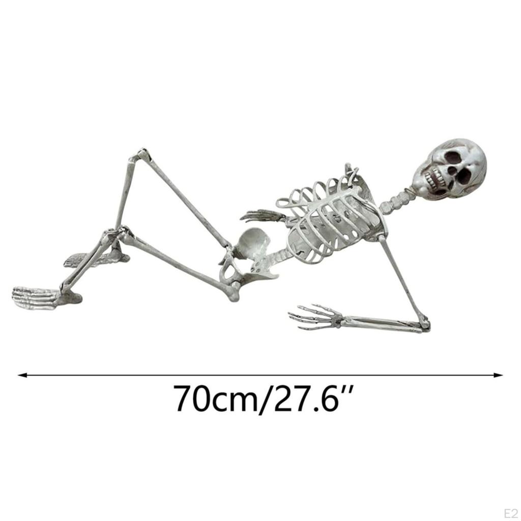 Halloween Skeleton Full Body Posable Joints Decor Durable Model Scary Skeletons