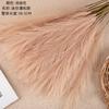 Artificial Flower Mini Pampas Reed Grass INS Wind Simulation Flower Manufacturer Home Decoration Wedding Wholesale