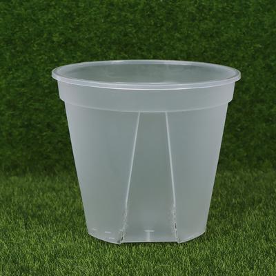 1Pc Clear Flower Pot Planter With Tray 10Cm/12Cm/14Cm Pp Transparent Flower Pot Orchid Pot With Holes For Home Office Desk