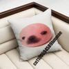For Throw Pillow Case Sham 45X45Cm 35X35Cm Square Bedroom Seals Fruit Cute Seal Sea Meme Pillowcase Cushion Cover