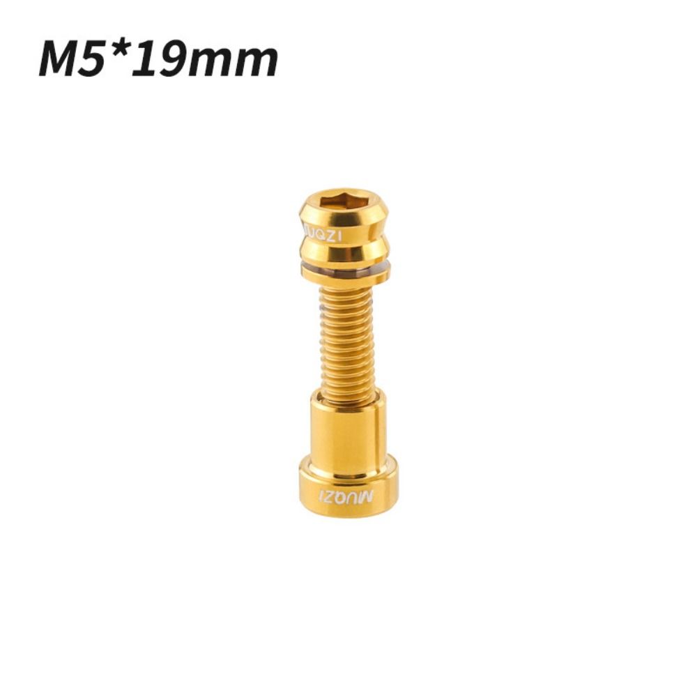 Titanium Bolt M5x17mm M5x19mm Bicycle Nut Titanium Alloy Stem Bolts MTB Road BMX Folding Bike Screw Accessories