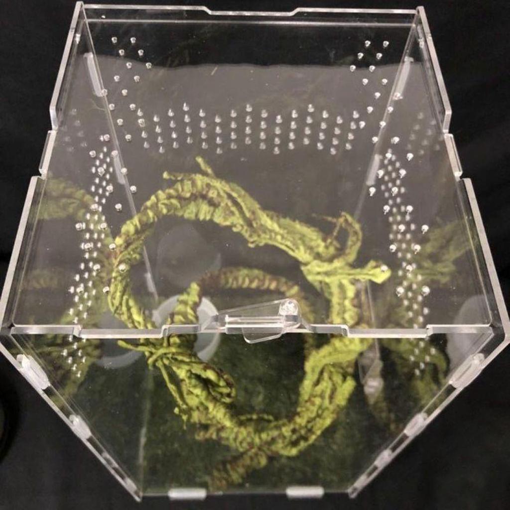 Reptiles Feeding Box Terrarium with Temperature Hygrometer for Spiders Lizards Portable Small Pet Anti-escape Habitat