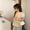 French Retro Bow Puff Sleeve Pleated Top