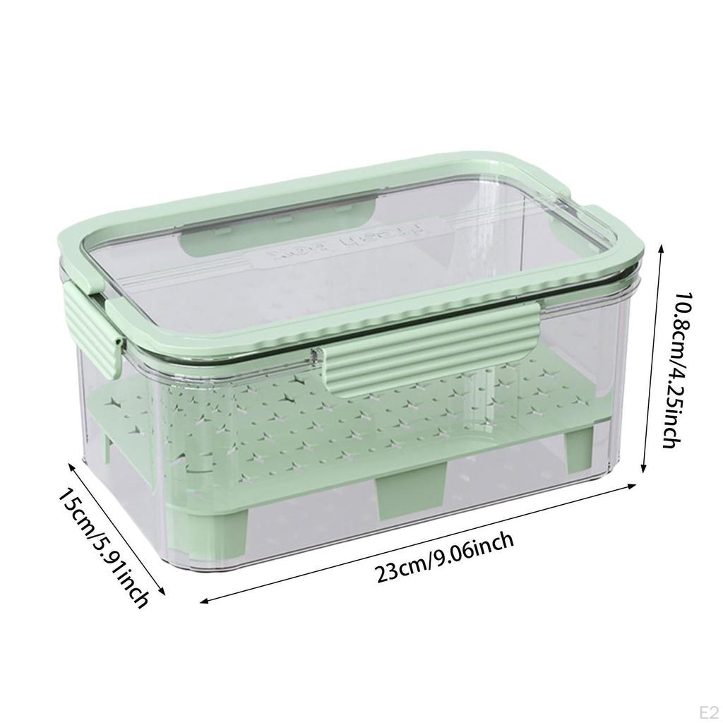 Camping Food Storage Box for Fruits with Handle Clear Container Outdoor Use
