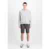 Шорты Alpha Industries Basic Cotton Short