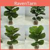 Plantă Realistă Artificială Ficus Elastica Frunziș Frunze Decor Acasă Nuntă Birou