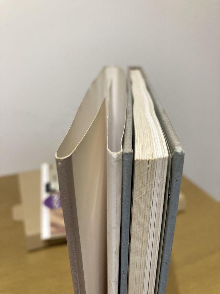 [USED] Used Shogo Takatsuka Pastel Art Collection, First Edition, Second Printing