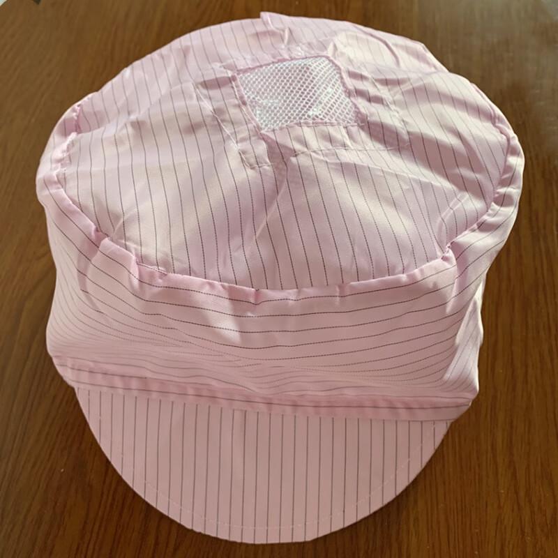 Anti-static Dustproof Work Cap
