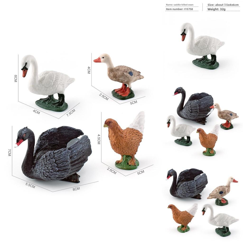 Pvc Farm Animal Decor Set With Realistic Swans Ducks And Chickens For Home Or Office Display