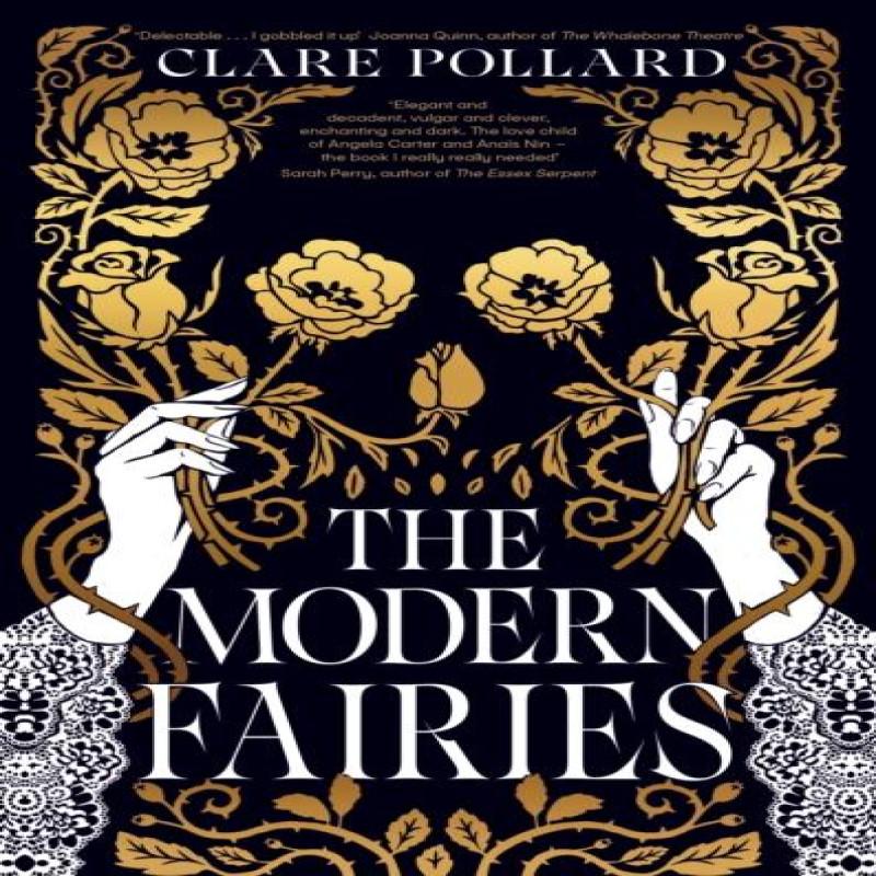 The Modern Fairies by Clare Pollard Hardback Book 9780241672457