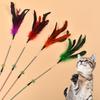 Plastic Feather Spring Teaser Stick with Bell - Bendable Cat Self-Entertainment Toy