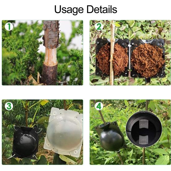 9Pcs Plant Propagator Ball Boost Plant Growth No Damage Translucent Increase Rooting Rate Indoor Outdoor Use