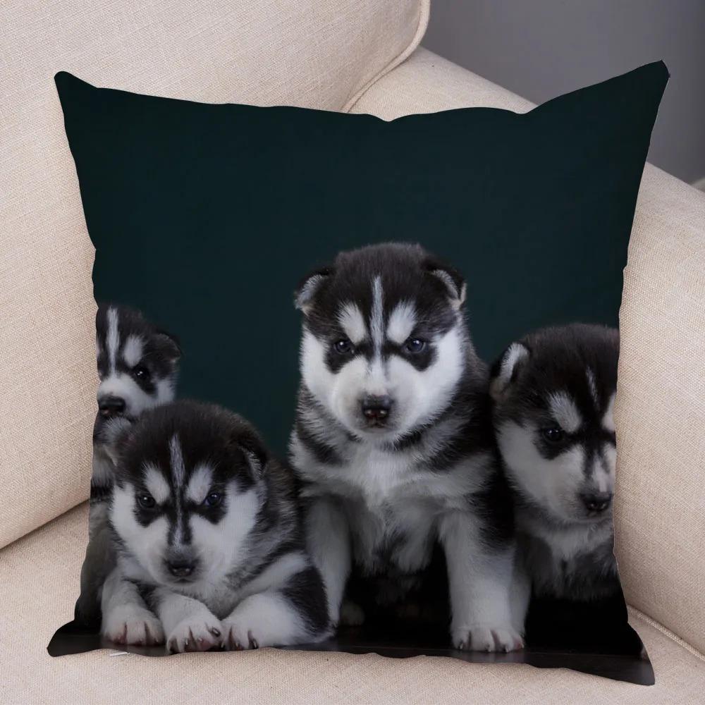 pc Realistic Siberian Husky Print Pillowcase Set Polyester NonEmbroidery Cushion Covers for Sofa Bed Dog Lover Home Decor