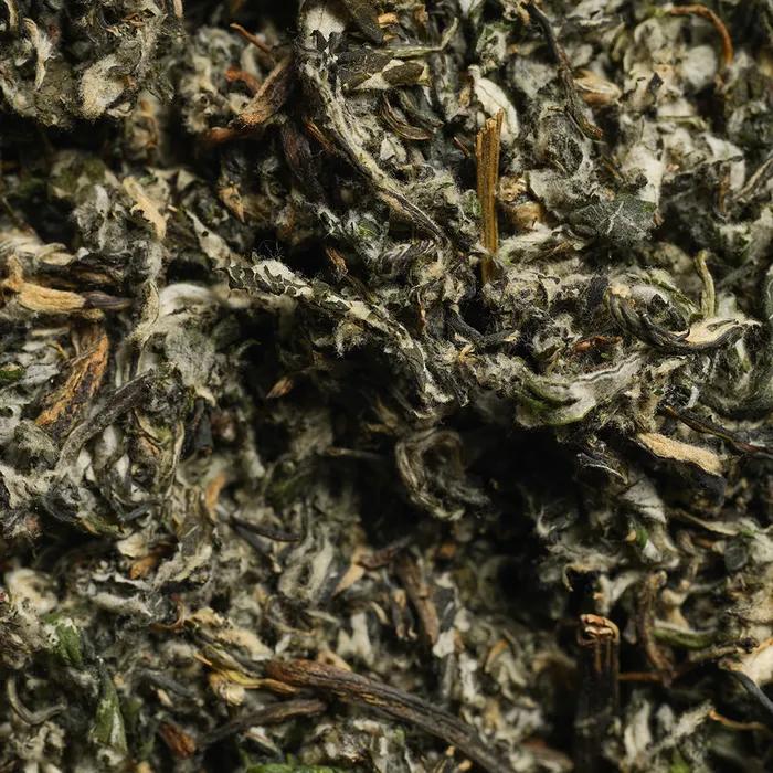 Cocosienna Premium Tea Young Mugwort Tea 20g