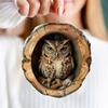 1/4Pcs Animal Christmas Ornaments 2D Flat Acrylic Owl Decorations Forest Animal Hanging