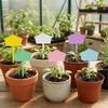 10/12PCS Sunproof Plant Label Tag Waterproof Stake Tags Plug In Card Markers Label  Gardening
