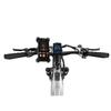 FREEDARE Saiga Electric Mountain Bike 250W BaFang Motor,48V20Ah Battery,with GPS Smart App Control