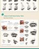Comprehensive Sketch Portrait Guide: Structure, Depth & Analysis Tutorial