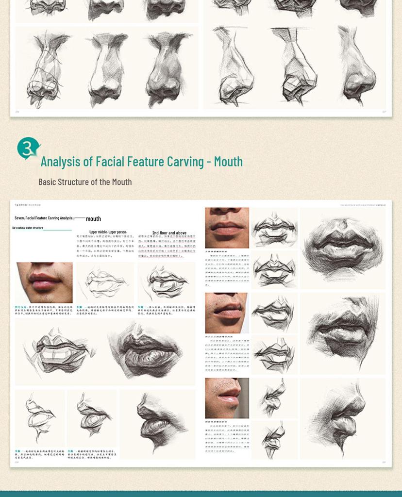 Comprehensive Sketch Portrait Guide: Structure, Depth & Analysis Tutorial