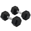 2x10kg Hex Dumbbells Set Rubber Dumbbells Weight Lifting Equipment Fitness Home Gym