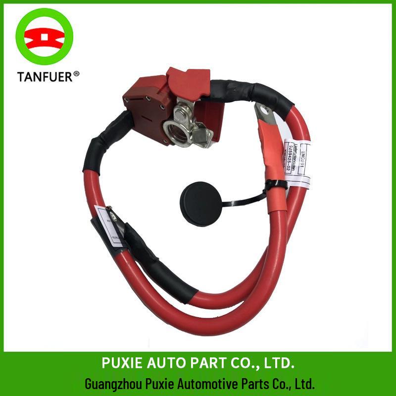 

BMW F30/F31/F34/F36 Аккумуляторный кабель 61129259425 BMW F30, F80, F31, F34, F83, F33, F36