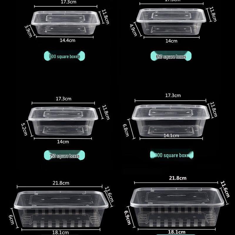 Chuanghui Disposable Plastic Takeout Meal Boxes