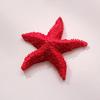 Starfish Figurine Resin Starfish Aquarium Decoration Realistic Artificial Starfish Ornament for Fish Tank Home Nautical Decor DIY Crafts
